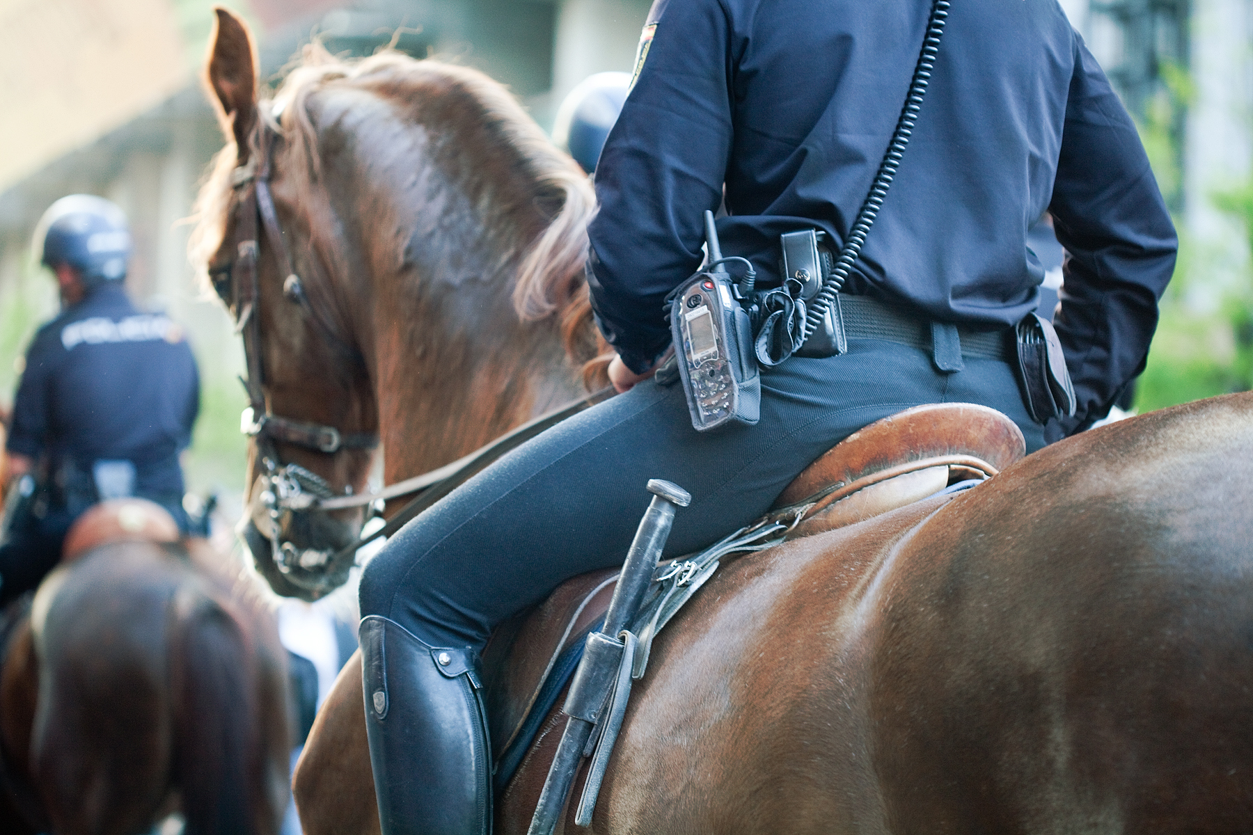 Mounted Police Units