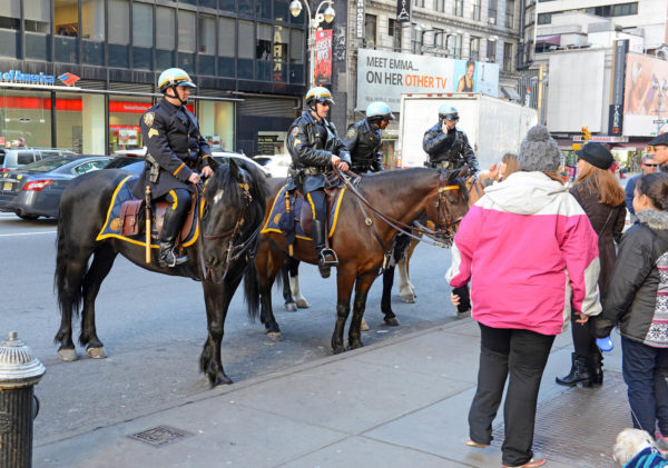 NYPD Mounted Police Unit in New York City