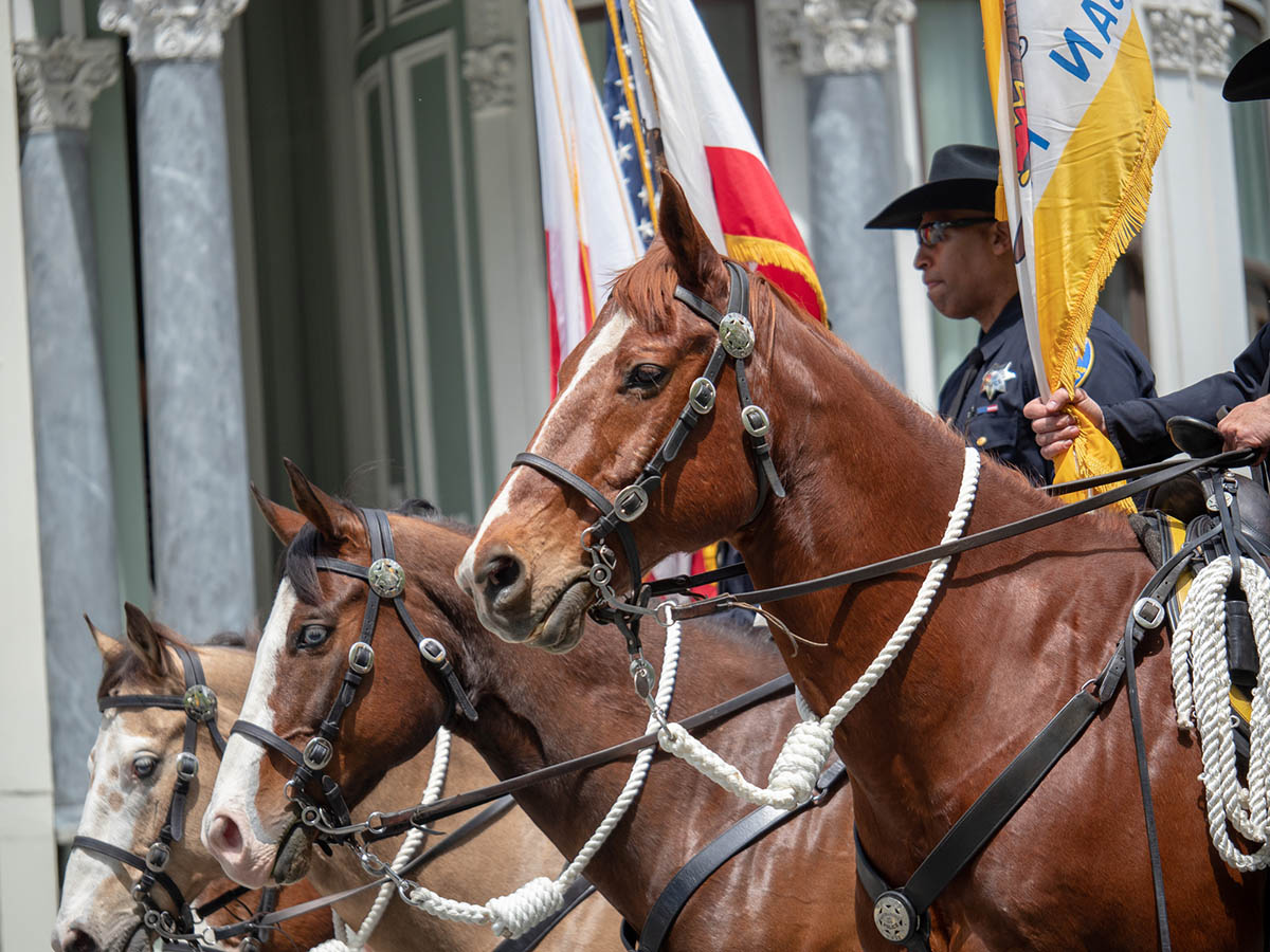 San Francisco Police Department Mounted Units